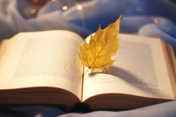 三百一十分可以上什么专科学校