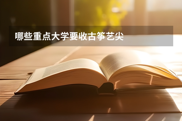 哪些重点大学要收古筝艺尖