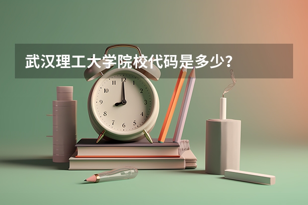 武汉理工大学院校代码是多少？