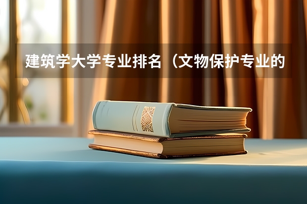 建筑学大学专业排名（文物保护专业的大学排名）
