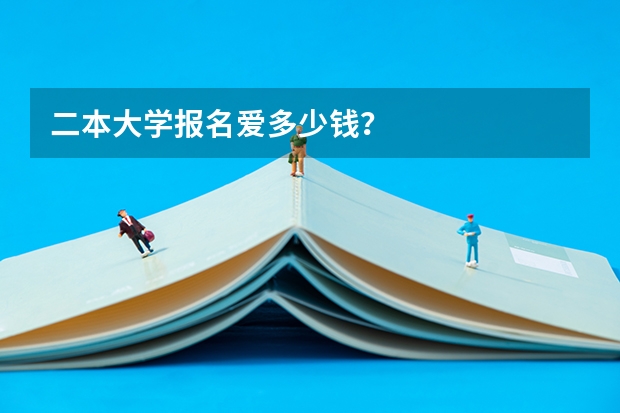 二本大学报名爱多少钱？