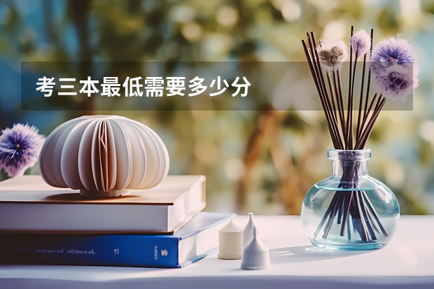 考三本最低需要多少分
