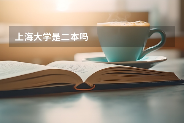 上海大学是二本吗