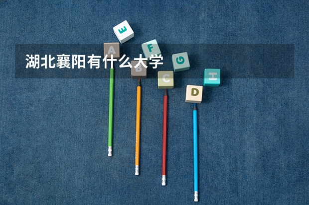 湖北襄阳有什么大学