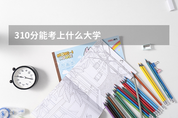 310分能考上什么大学