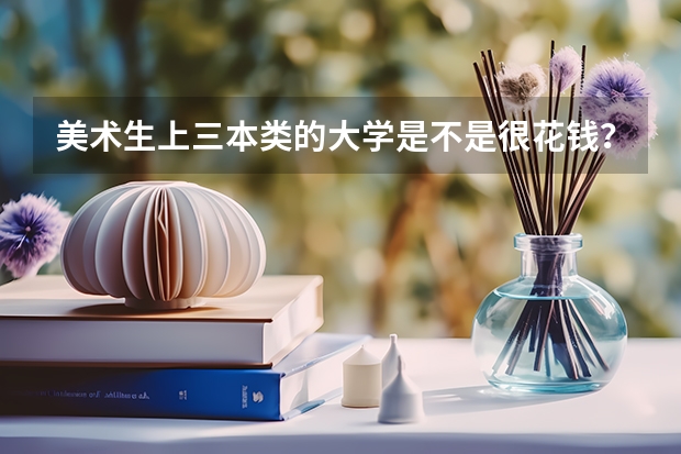 美术生上三本类的大学是不是很花钱？一年学费大约多少？
