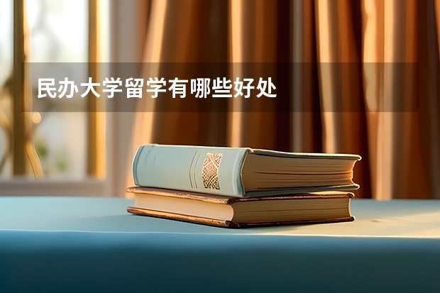 民办大学留学有哪些好处