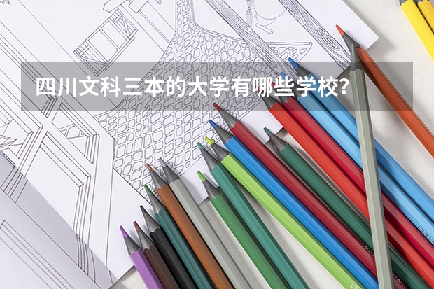 四川文科三本的大学有哪些学校？