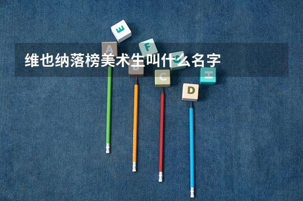 维也纳落榜美术生叫什么名字
