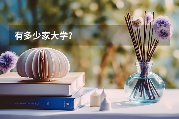 有多少家大学？