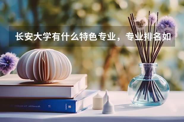 长安大学有什么特色专业，专业排名如何