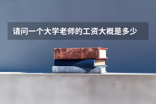 请问一个大学老师的工资大概是多少