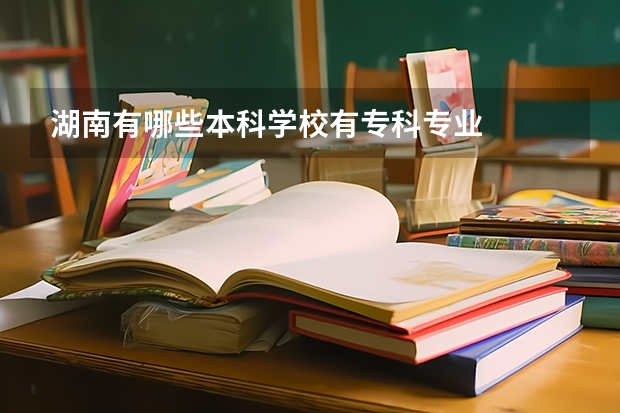 湖南有哪些本科学校有专科专业