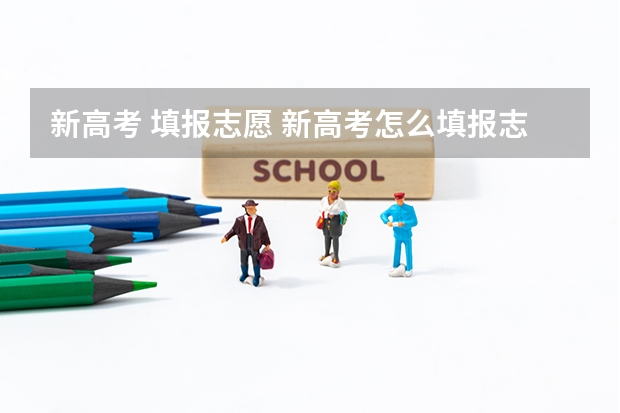 新高考 填报志愿 新高考怎么填报志愿？