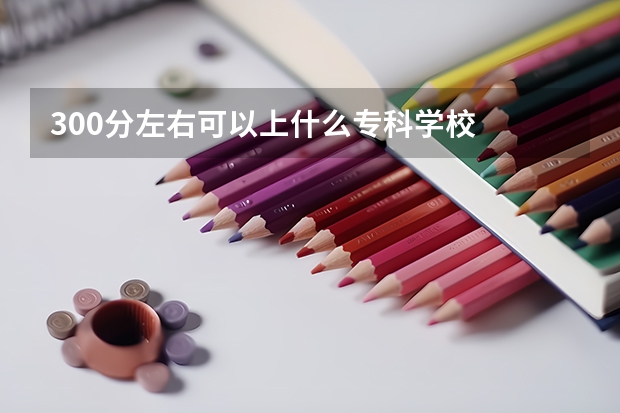 300分左右可以上什么专科学校