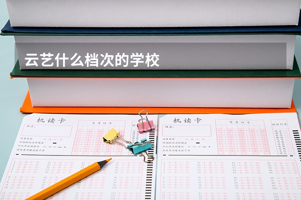 云艺什么档次的学校
