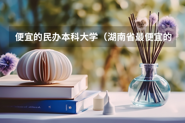便宜的民办本科大学（湖南省最便宜的民办二本）