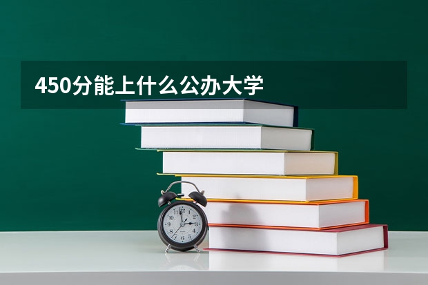 450分能上什么公办大学