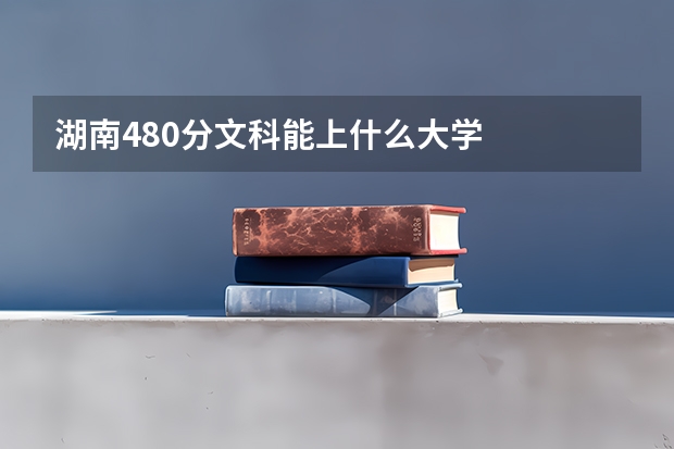湖南480分文科能上什么大学