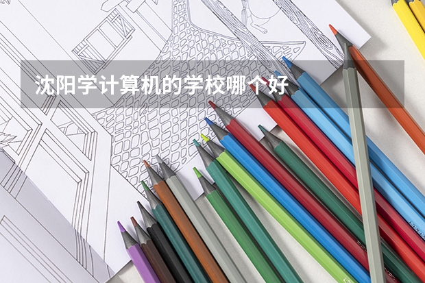 沈阳学计算机的学校哪个好