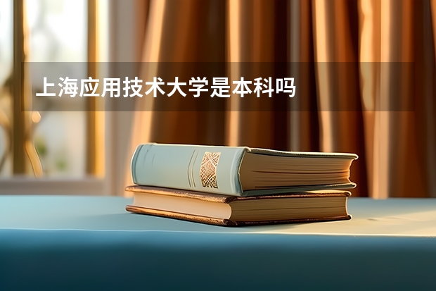 上海应用技术大学是本科吗