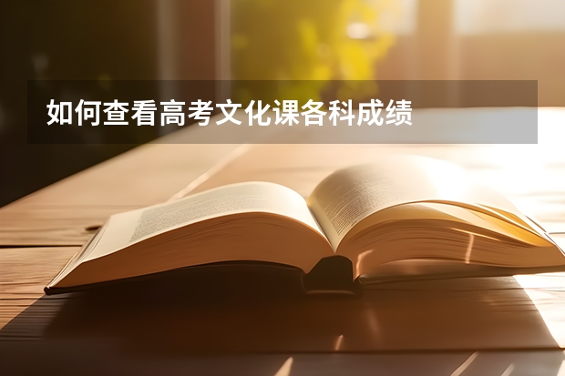 如何查看高考文化课各科成绩