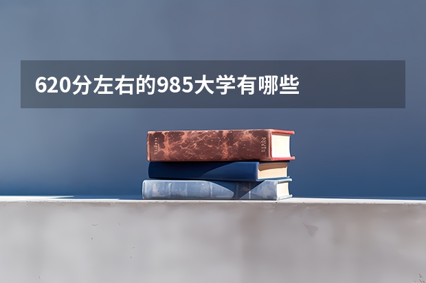 620分左右的985大学有哪些
