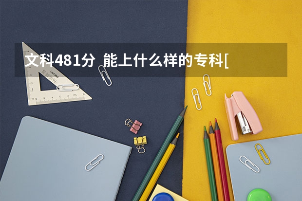 文科481分  能上什么样的专科[山东]