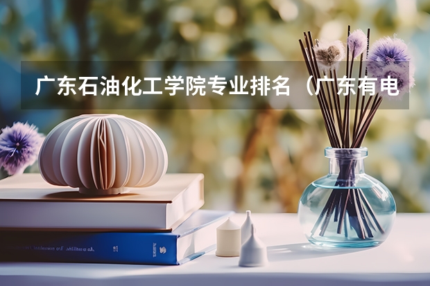 广东石油化工学院专业排名（广东有电力专业的专科院校）