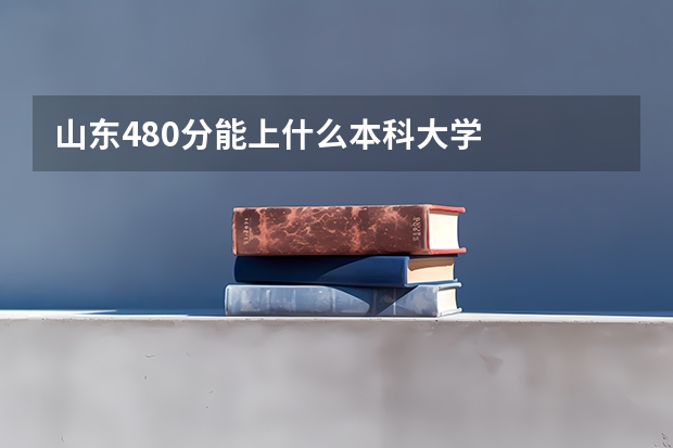 山东480分能上什么本科大学