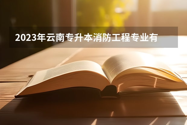 2023年云南专升本消防工程专业有哪些招生院校？