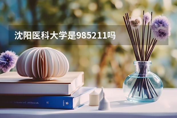 沈阳医科大学是985211吗
