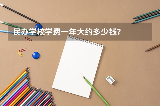 民办学校学费一年大约多少钱？