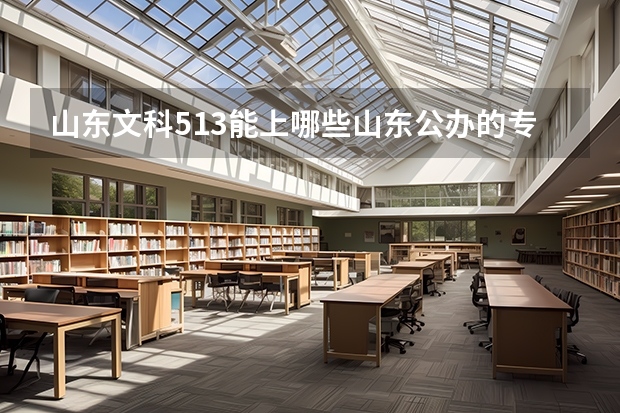 山东文科513能上哪些山东公办的专科院校