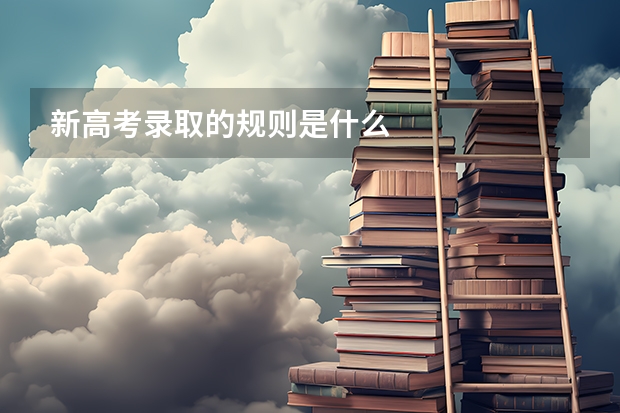 新高考录取的规则是什么