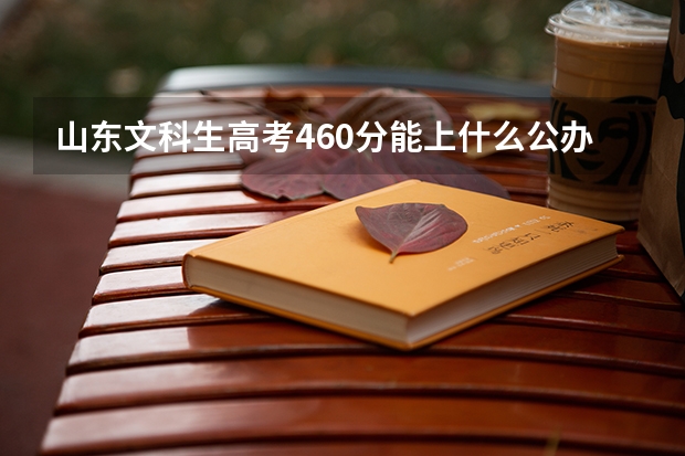 山东文科生高考460分能上什么公办学?