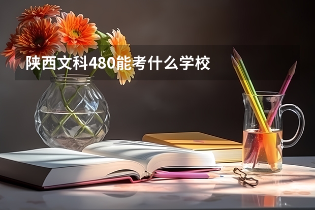 陕西文科480能考什么学校