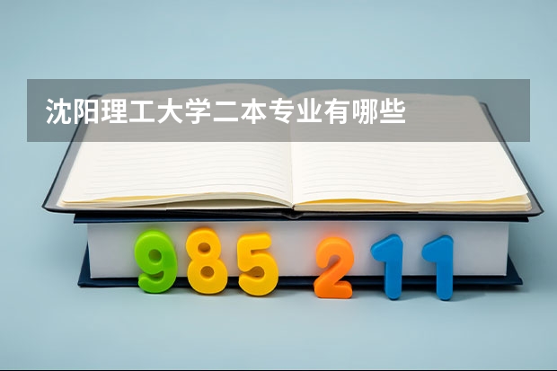 沈阳理工大学二本专业有哪些