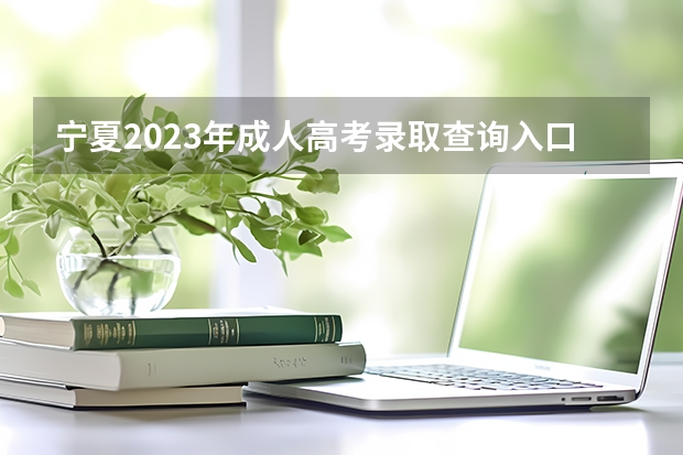 宁夏2023年成人高考录取查询入口 怎么查询？