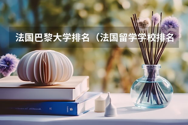 法国巴黎大学排名（法国留学学校排名）