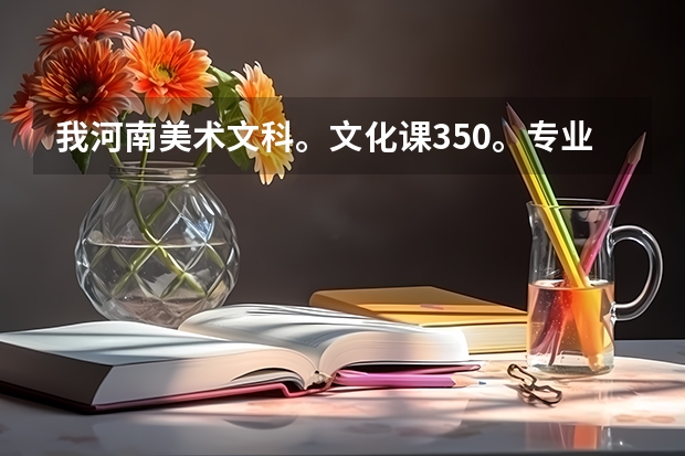 我河南美术文科。文化课350。专业204。能上什么学校。急急。。