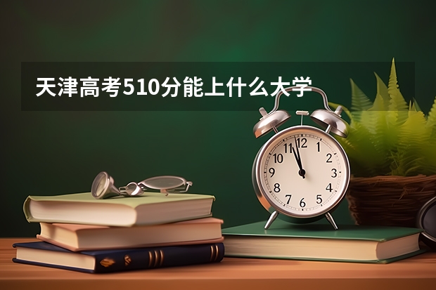天津高考510分能上什么大学
