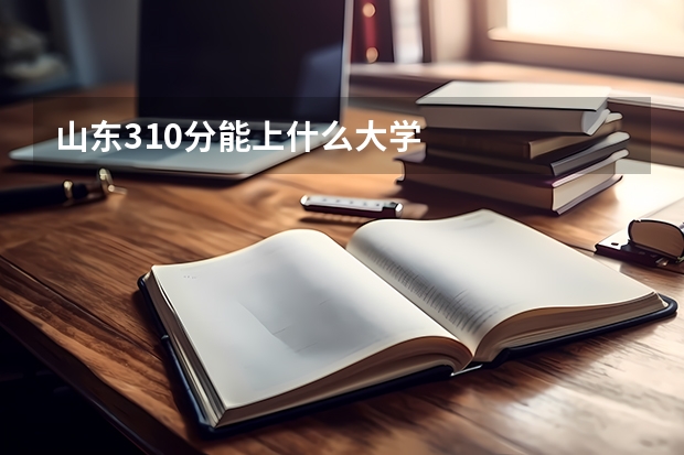 山东310分能上什么大学