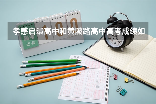 孝感启澴高中和黄陂路高中高考成绩如何