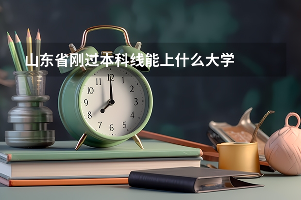 山东省刚过本科线能上什么大学