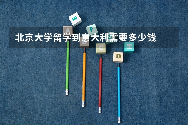 北京大学留学到意大利需要多少钱