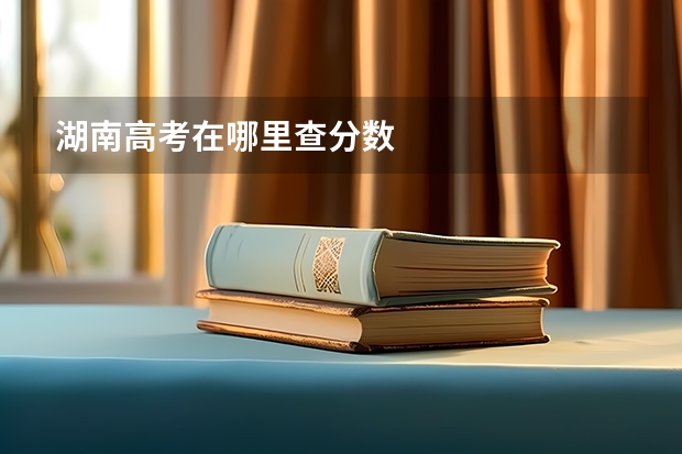 湖南高考在哪里查分数