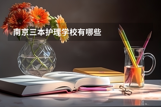 南京三本护理学校有哪些