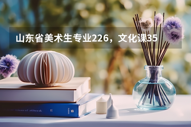 山东省美术生专业226，文化课350，理科能上二本吗？
