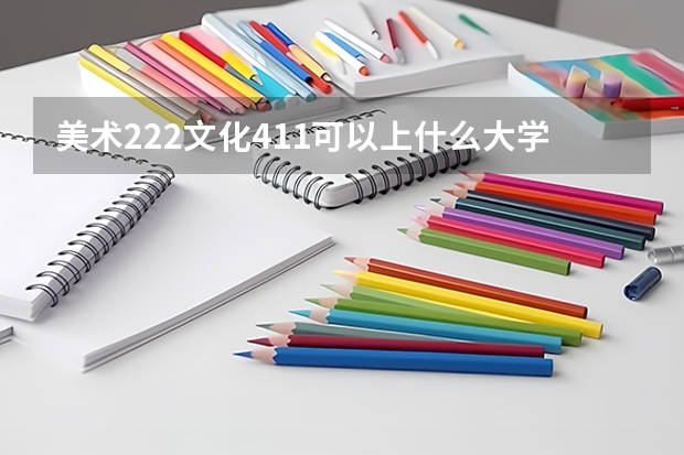 美术222文化411可以上什么大学